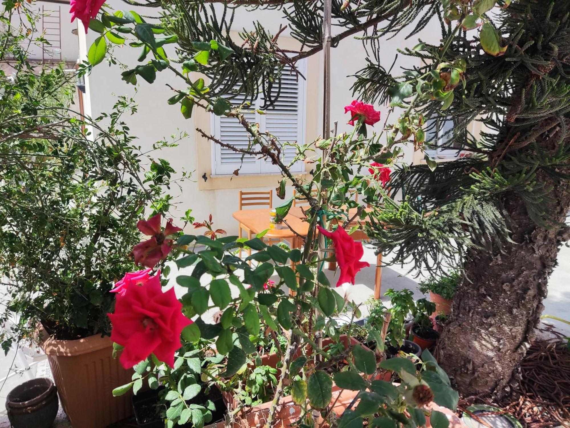 L'Araucaria Bnb Marsala Exterior foto