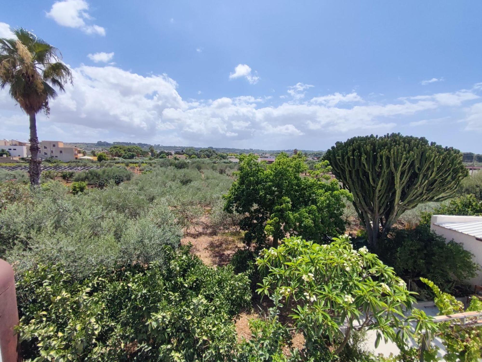 L'Araucaria Bnb Marsala Exterior foto